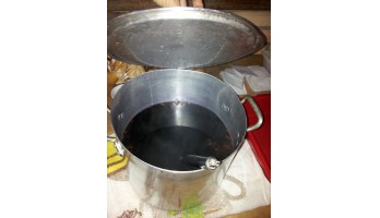 1ª Festa Junina Puro Movimento - 2013