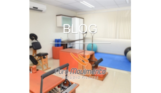 Novo Blog Puro Movimento Estúdio Pilates