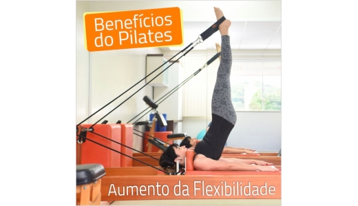 Flexibilidade