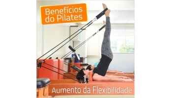 Flexibilidade
